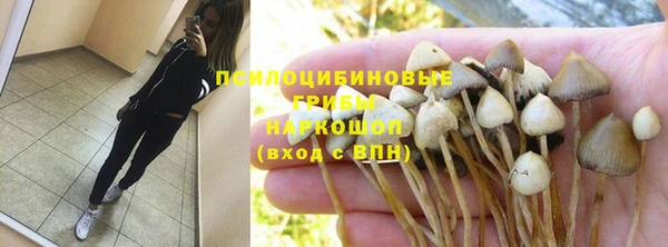 spice Бугульма