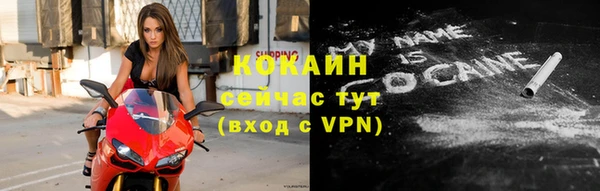 ПСИЛОЦИБИНОВЫЕ ГРИБЫ Бородино