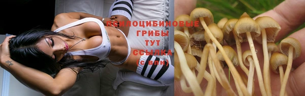 твердый Белокуриха