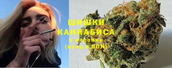 дмт Богородск