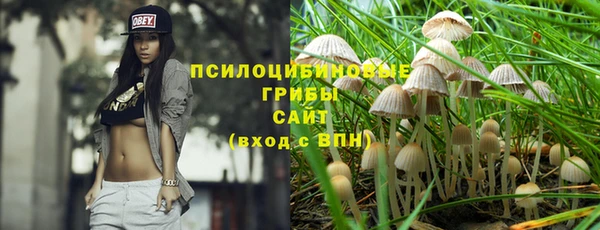 дмт Богородск