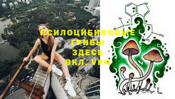 дмт Богородск