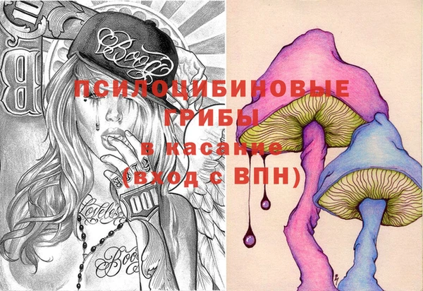 дмт Богородск