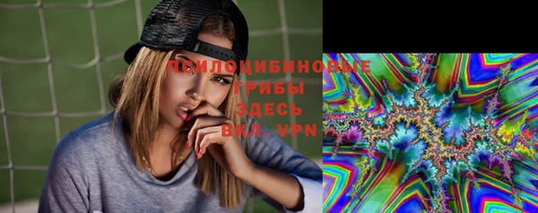 дурь Богданович