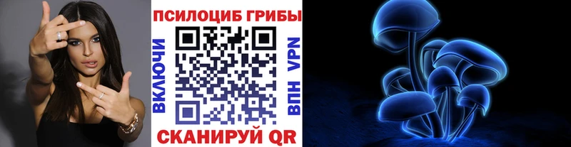 продажа наркотиков  darknet какой сайт  Галлюциногенные грибы Psilocybe  Балтийск 